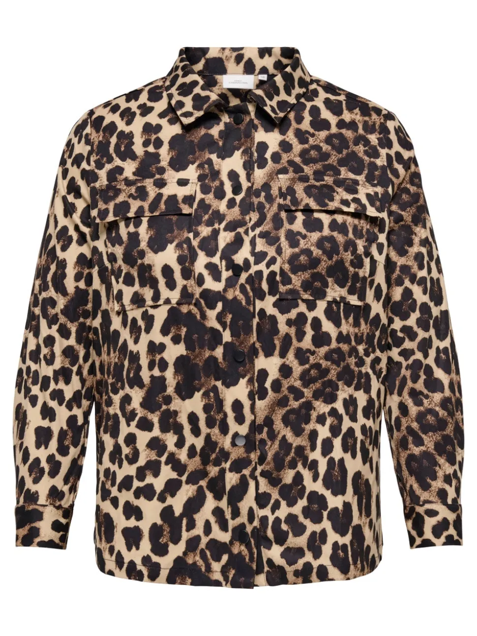 CARCASHI Camicia