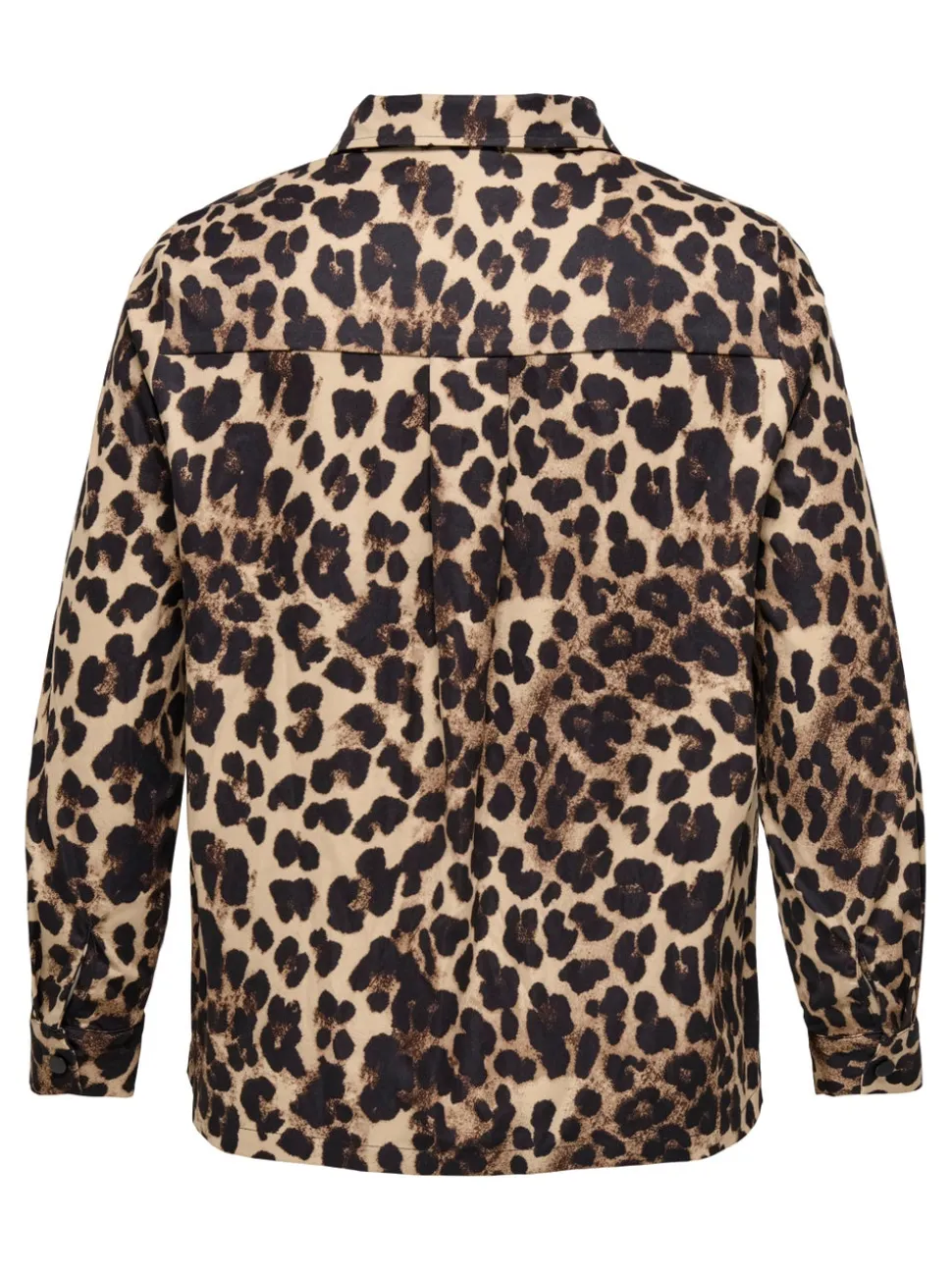 CARCASHI Camicia