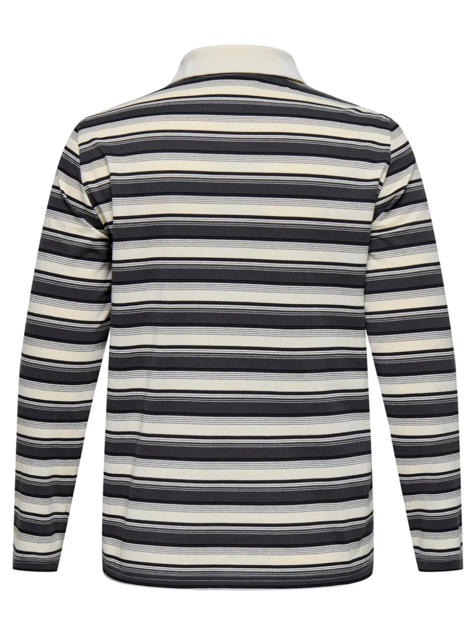 CARGLOBE Polo