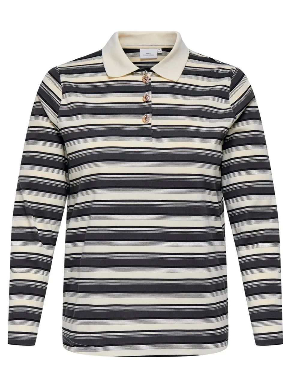CARGLOBE Polo