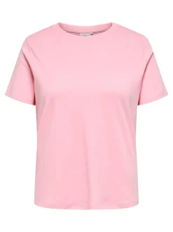 CARJEN Top