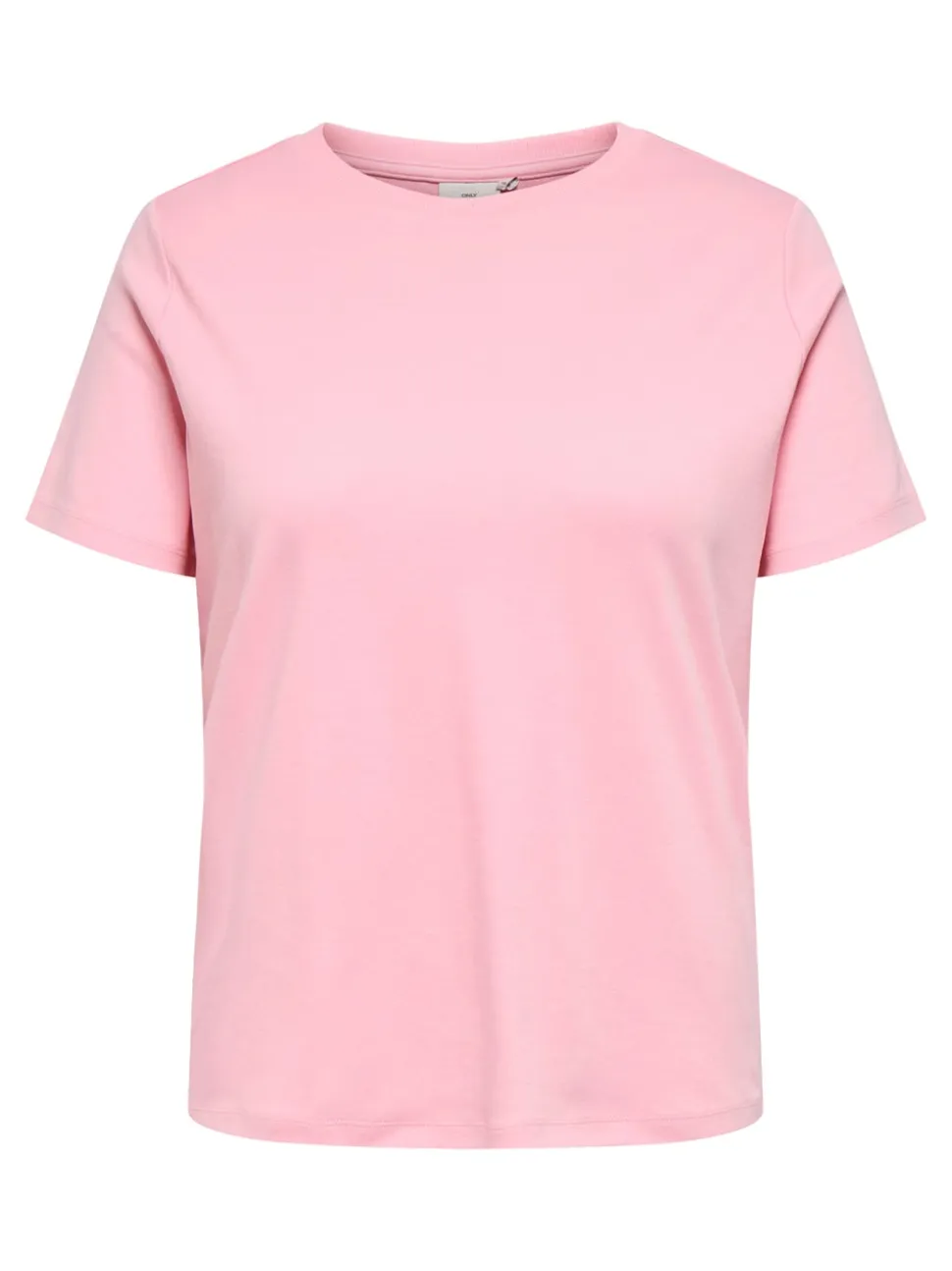 CARJEN Top