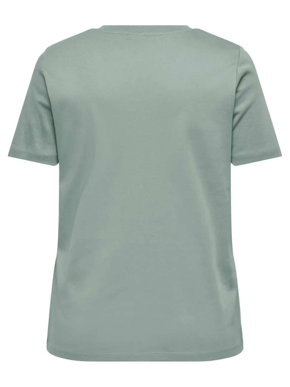 CARJEN Top