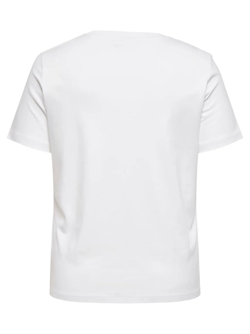 CARJEN Top