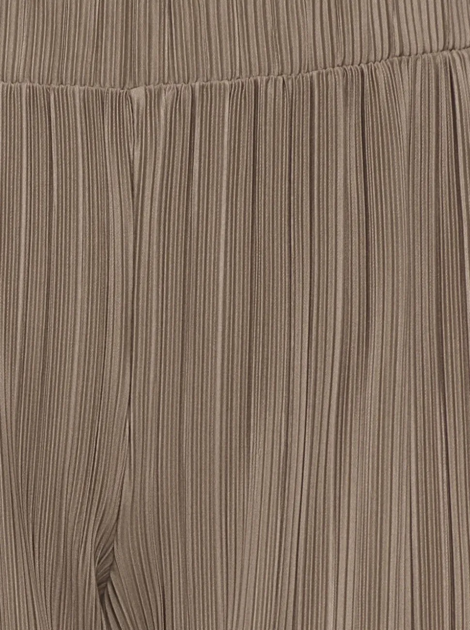 CARRAVENNA Regular Fit Pantaloni plissettati