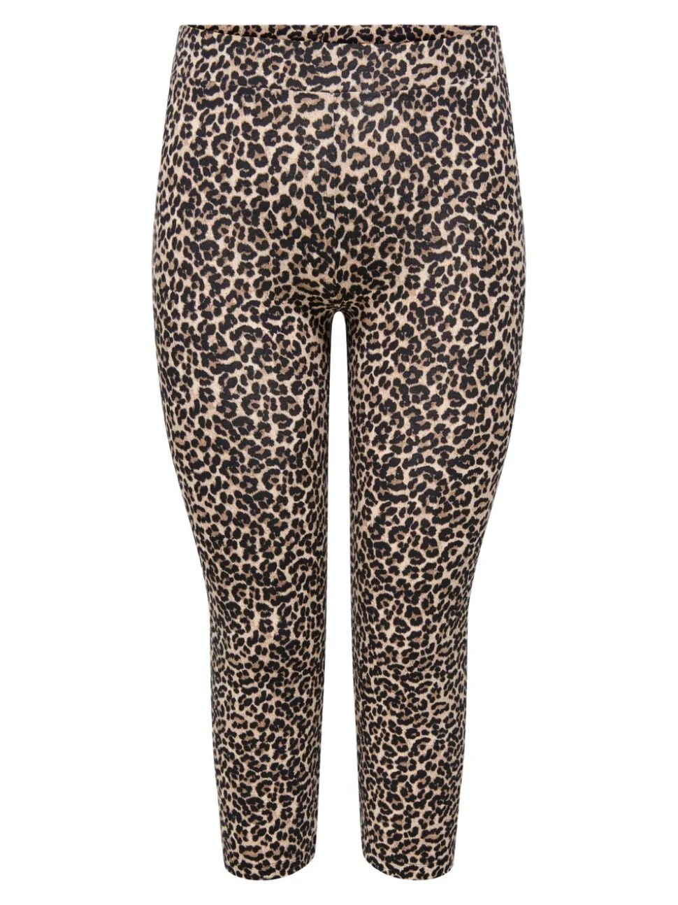 CARTIME Slim Fit Bermuda