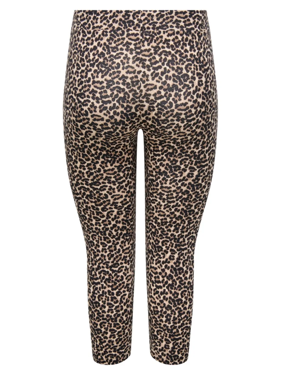 CARTIME Slim Fit Bermuda