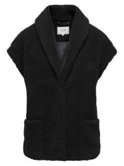 JDYBIRDY Gilet teddy