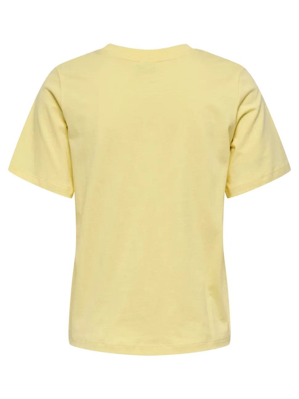 JDYPISA T-shirt