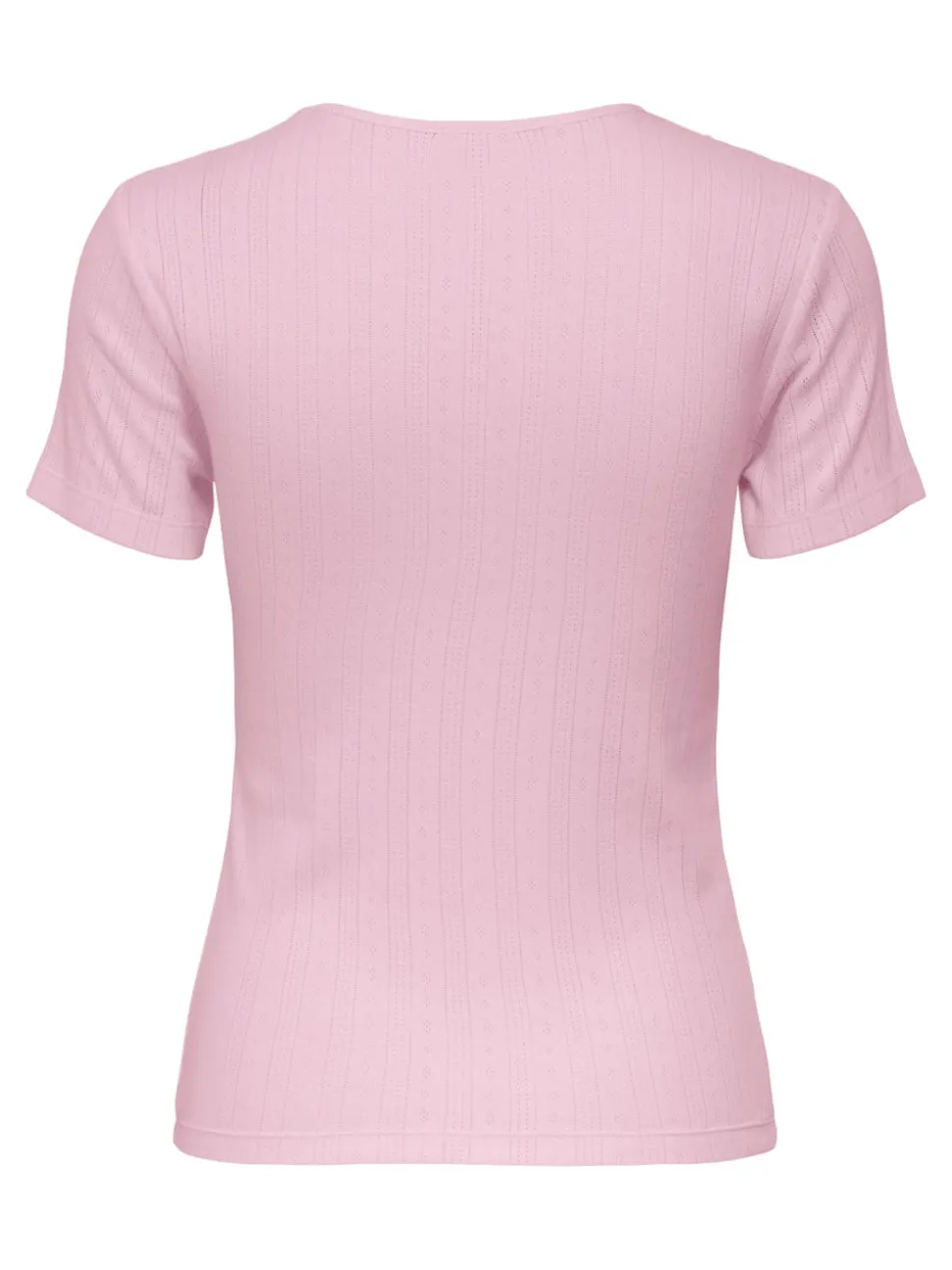 JDYSALSA Top