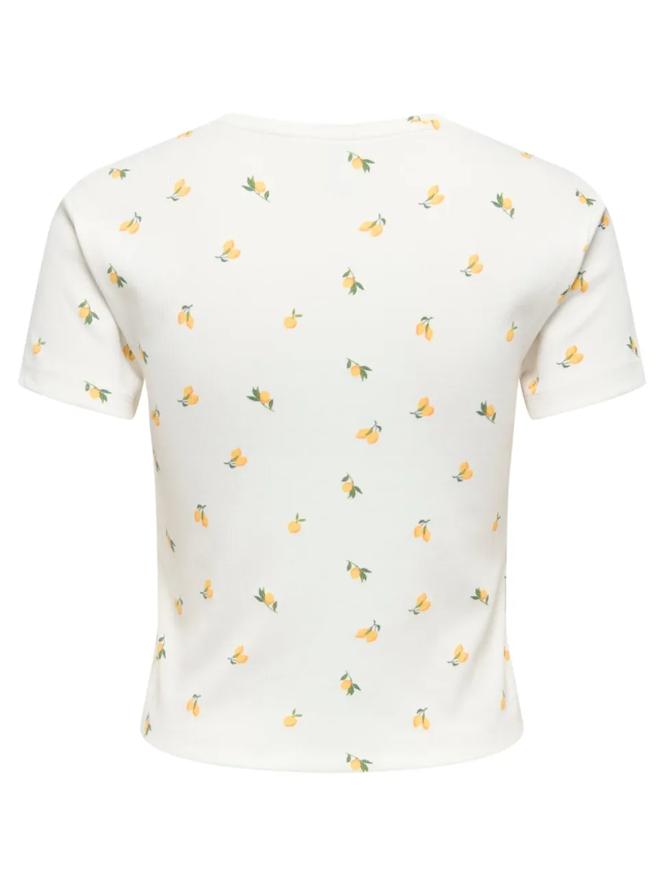 ONLFENJA T-shirt