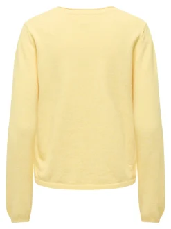 ONLLOYAL Pullover