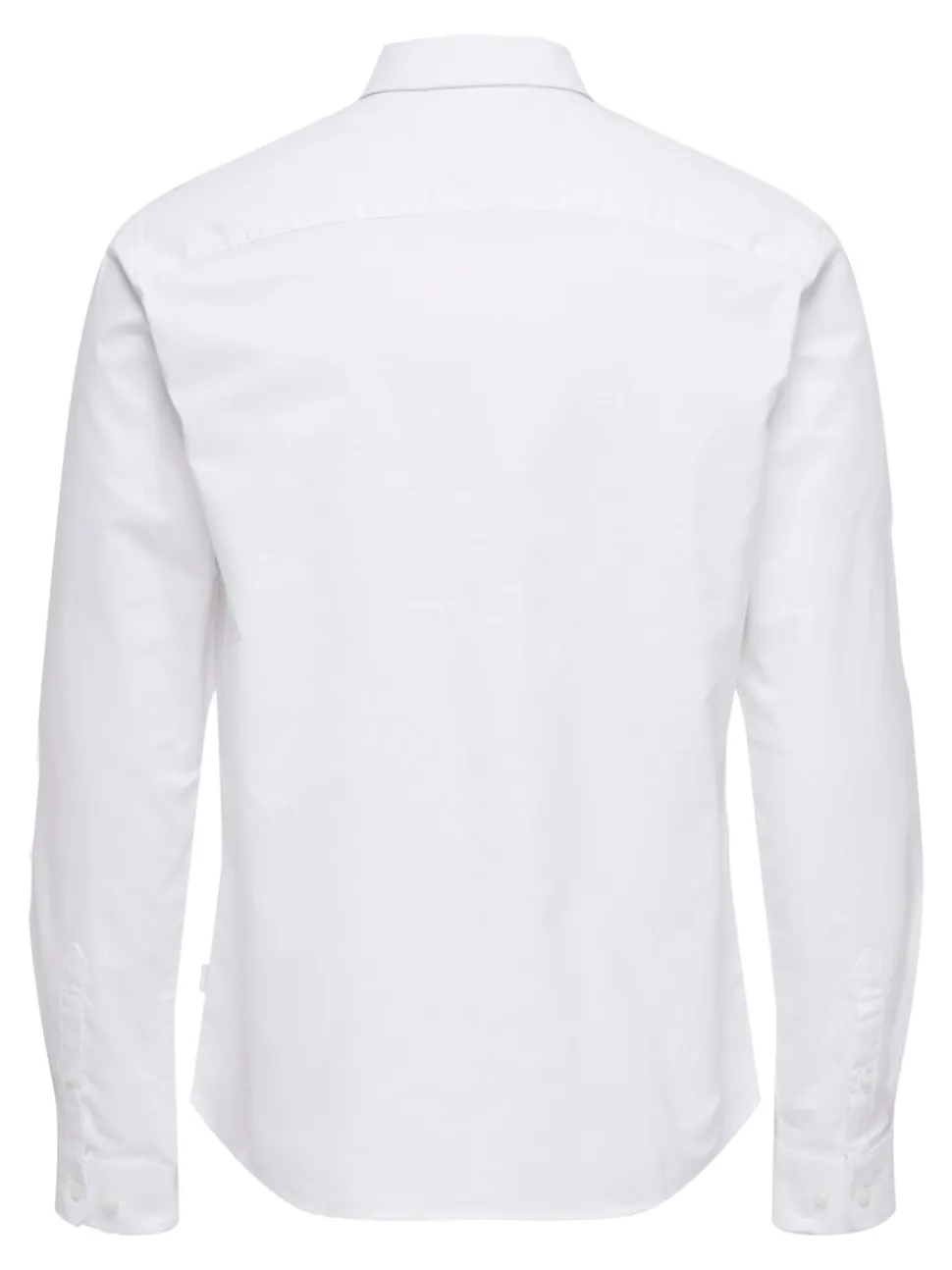 ONSALVARO Camicia oxford