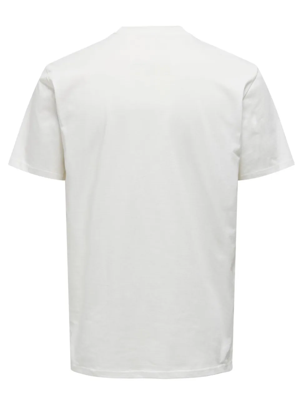 ONSBIGBLOOM T-shirt