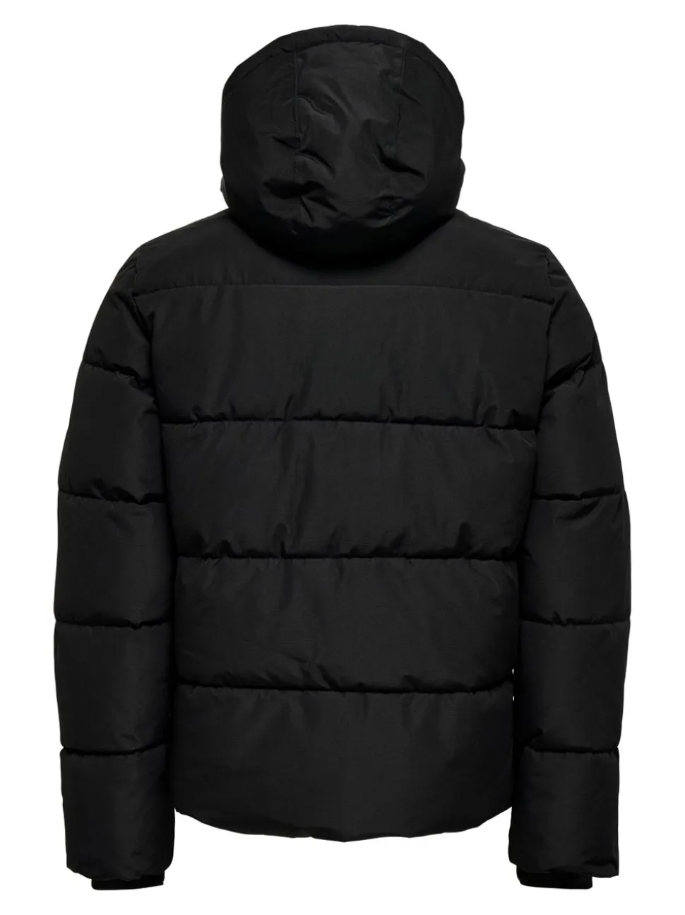 ONSELIJAH Cappotto