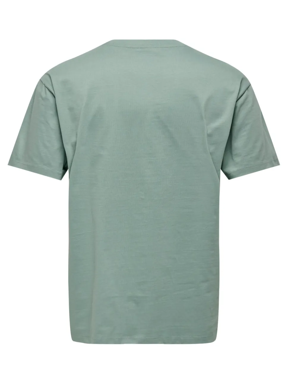 ONSFRED T-shirt