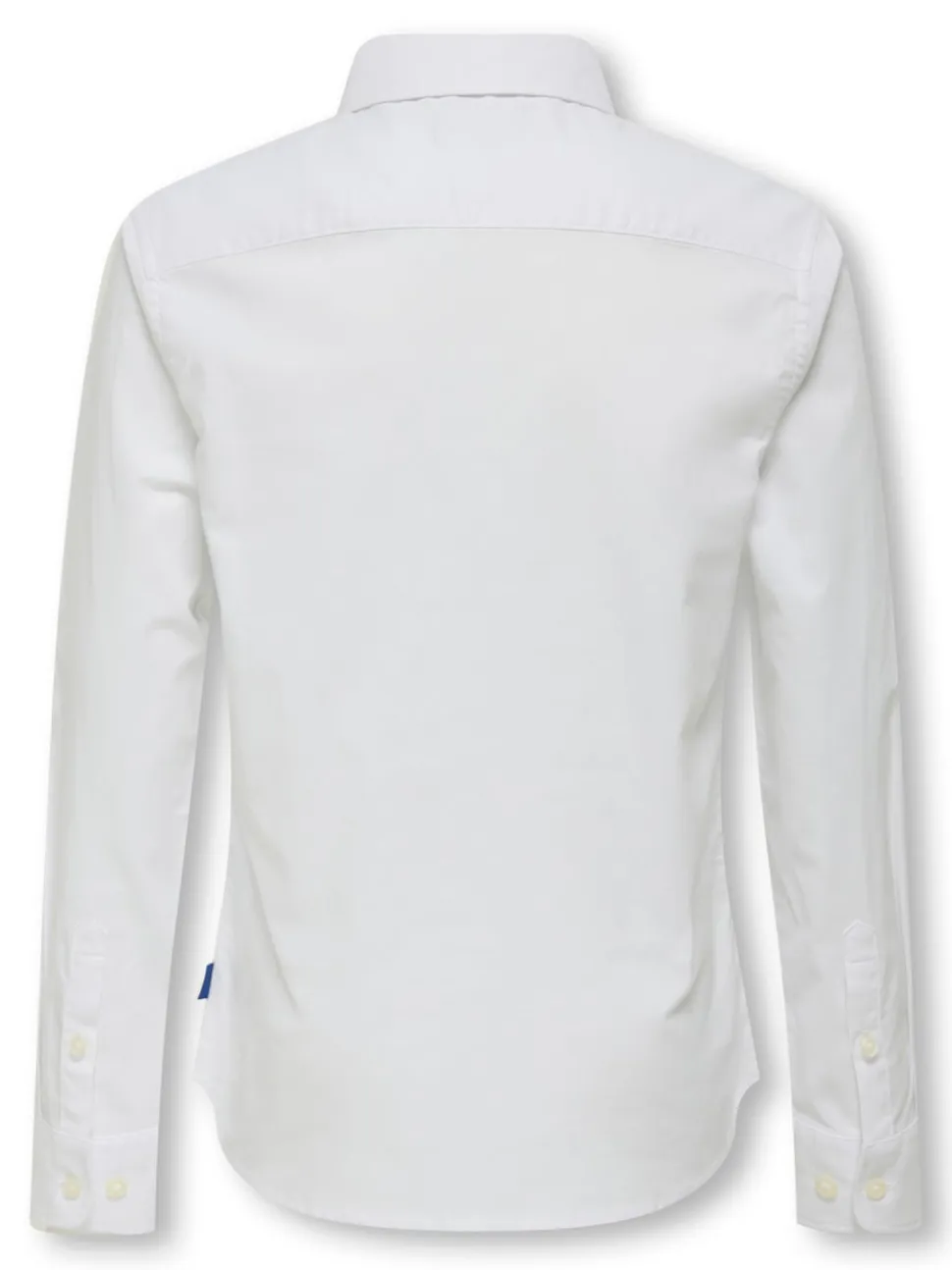 OSJALVARO Camicia oxford